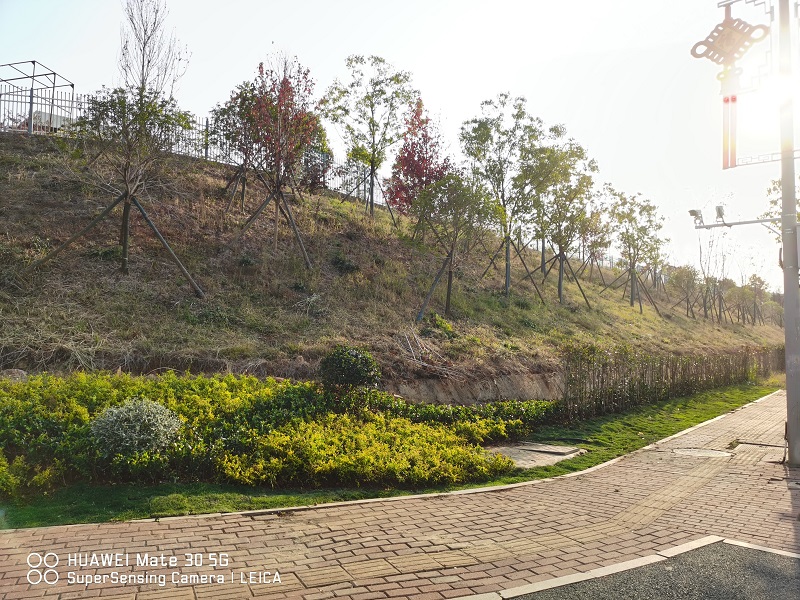 ���^�|���a�I(y��)�@��Ҫ��(ji��)�c�G��